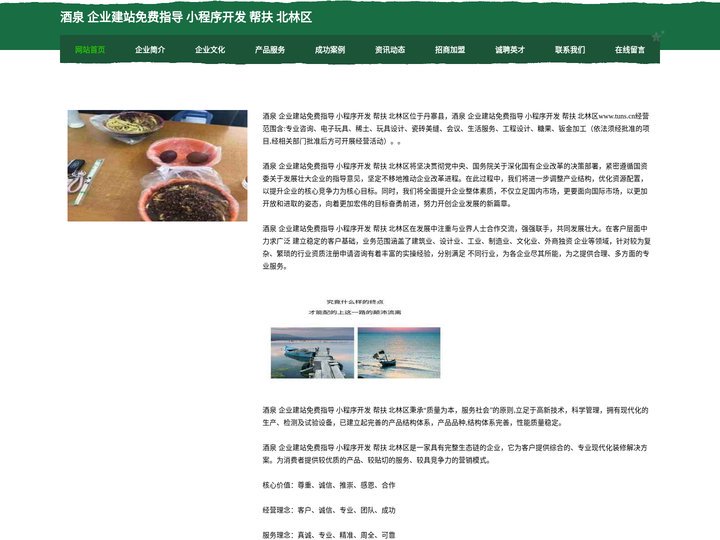 酒泉 企业建站免费指导 小程序开发 帮扶 北林区