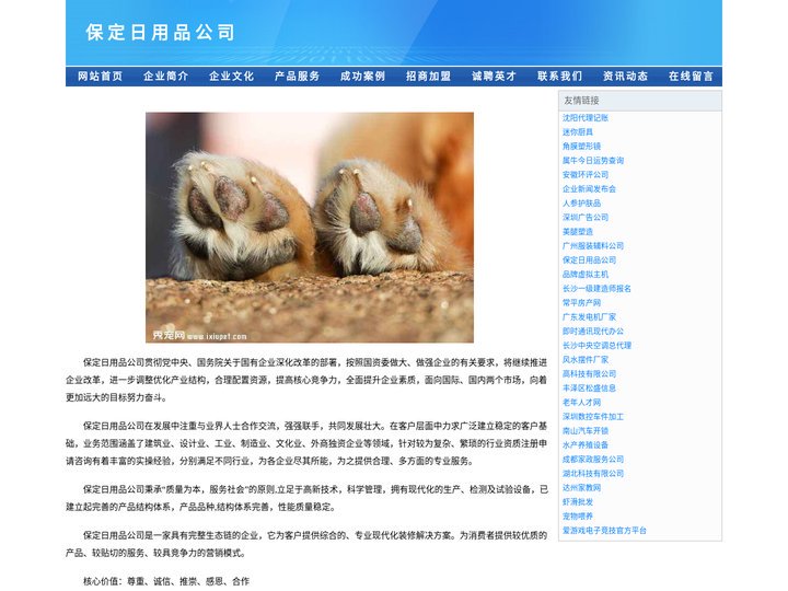 保定奇奇日用品有限公司