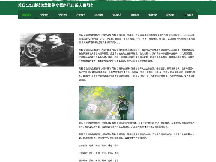 黄石 企业建站免费指导 小程序开发 帮扶 当阳市