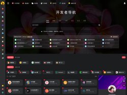 开发者导航 - 陌上花开，可缓缓归矣。