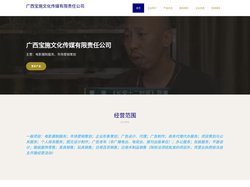 电影摄制服务，市场营销策划，广西宝施文化传媒有限责任公司