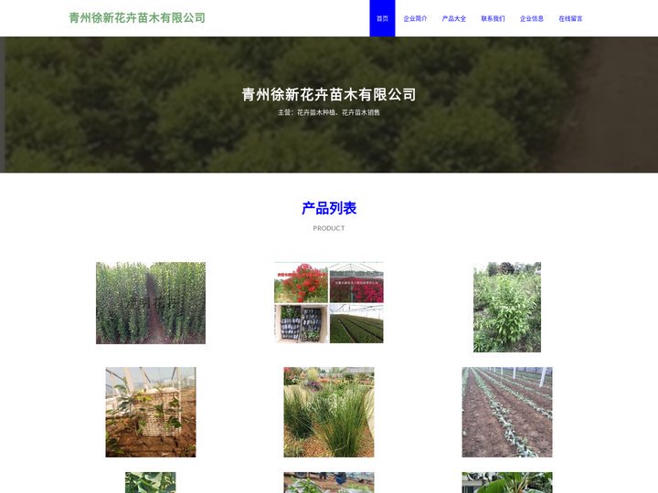 花卉苗木种植 花卉苗木销售 青州徐新花卉苗木有限公司