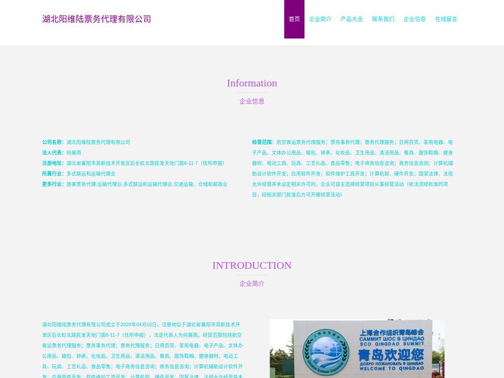 湖北阳维陆票务代理有限公司_航空客运票务代理服务