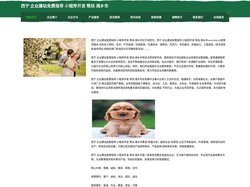 西宁 企业建站免费指导 小程序开发 帮扶 湘乡市