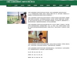 大观区 企业建站免费指导 小程序开发 帮扶 溧水县