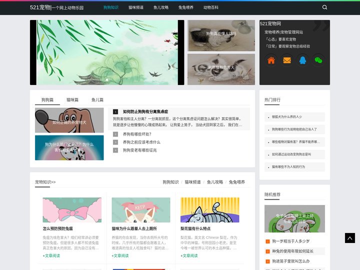 宠物知识_宠物喂养_521宠物网