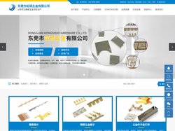 五金端子_医疗端子_精密小五金-东莞市虹硕五金有限公司