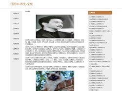 日历年-养生-文化