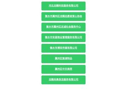 河北龙赐科技服务有限公司
