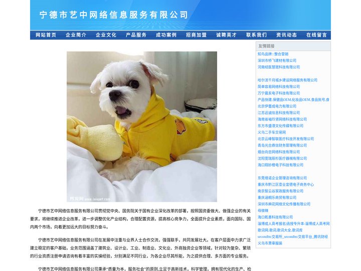 宁德市艺中网络信息服务有限公司