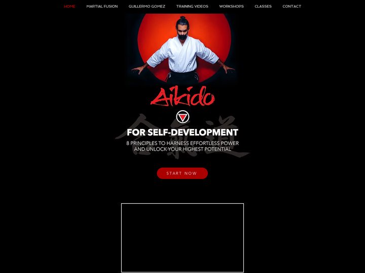 MARTIAL FUSION | AIKIDO | KICKBOXING | QIGONG | YOGA | MEDIT