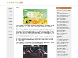 三丰林岛-科技-财经