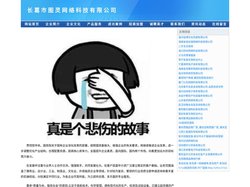 长葛市图灵网络科技有限公司