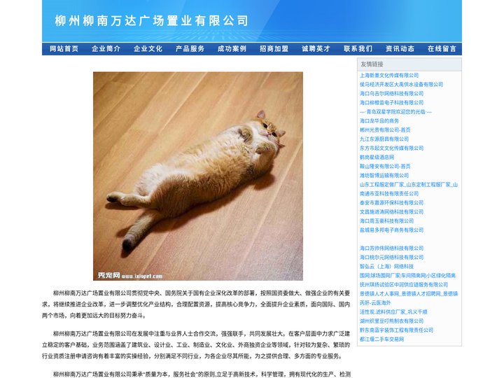 柳州柳南万达广场置业有限公司