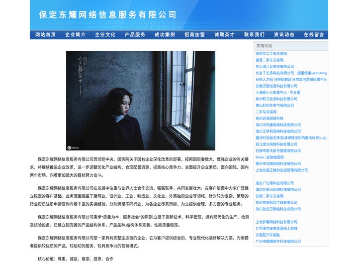 保定东耀网络信息服务有限公司