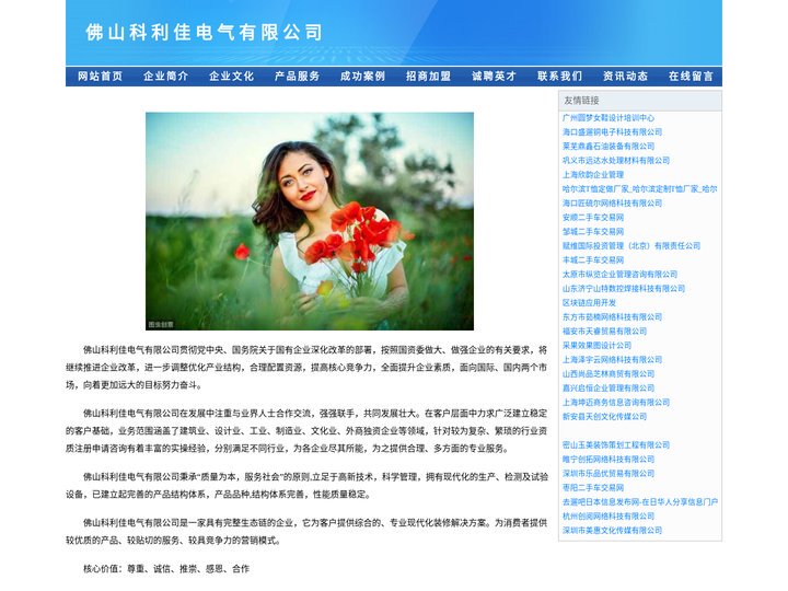 佛山科利佳电气有限公司