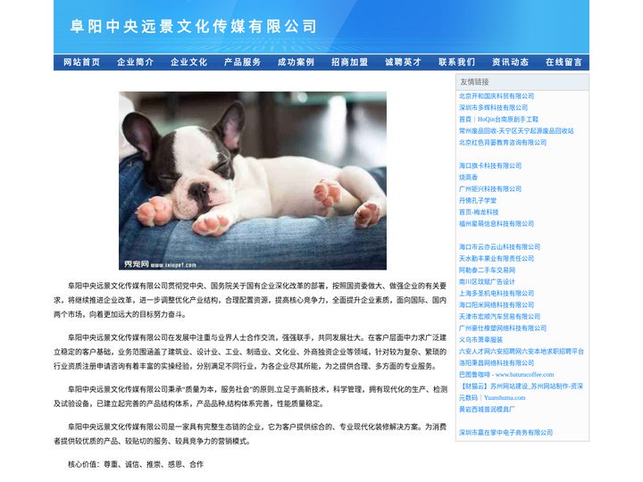 阜阳中央远景文化传媒有限公司