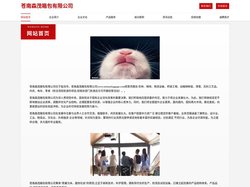 苍南森茂箱包有限公司