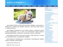运城市文化传媒服务中心