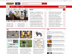 靖恒宠物网_宠物种类_宠物服装_宠物百科（跃靖恒）
