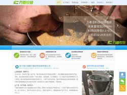 养猪设备生产厂家_智能化养猪设备与系统-四川成都万春农牧机械有限公司