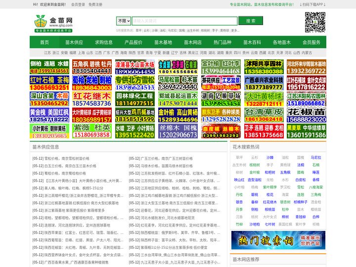 苗木网_苗木基地_苗木求购_苗木价格_中国苗木网站-金苗网