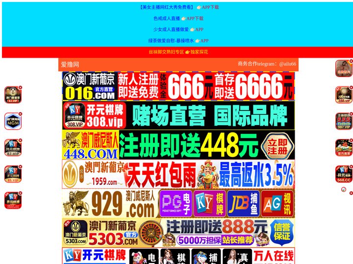 白山赜第顾问有限公司