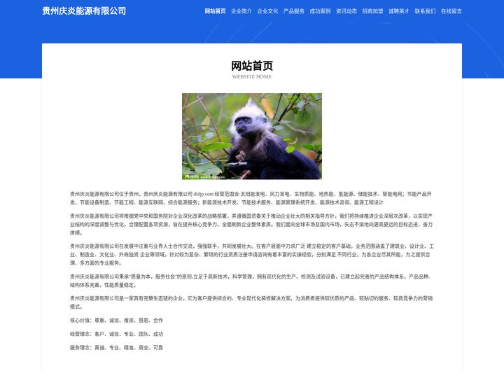 贵州庆炎能源有限公司 - 首页