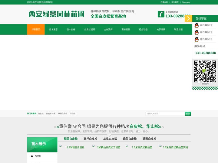 白皮松_陕西白皮松批发价格_基地报价行情_西安绿景园林苗圃
