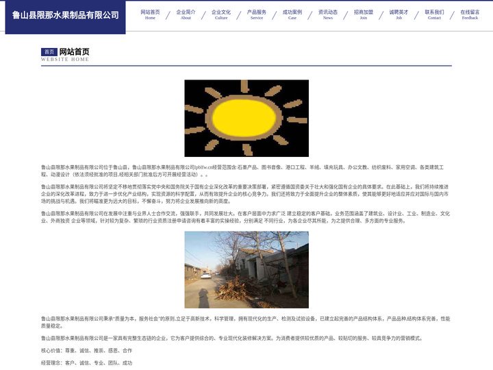 鲁山县限那水果制品有限公司