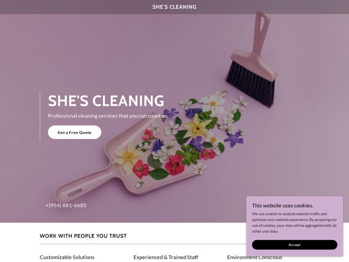 She's Cleaning
