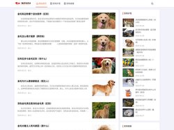 宠问问官网首页 - 宠物行业信息网站
